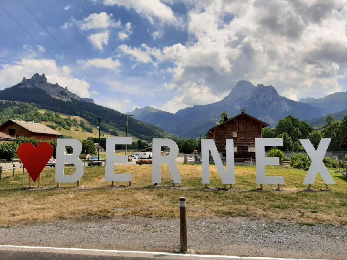 Le 67,Ski Et Randonnee,Lave Linge,Seche Linge,Parking Берне Екстериор снимка