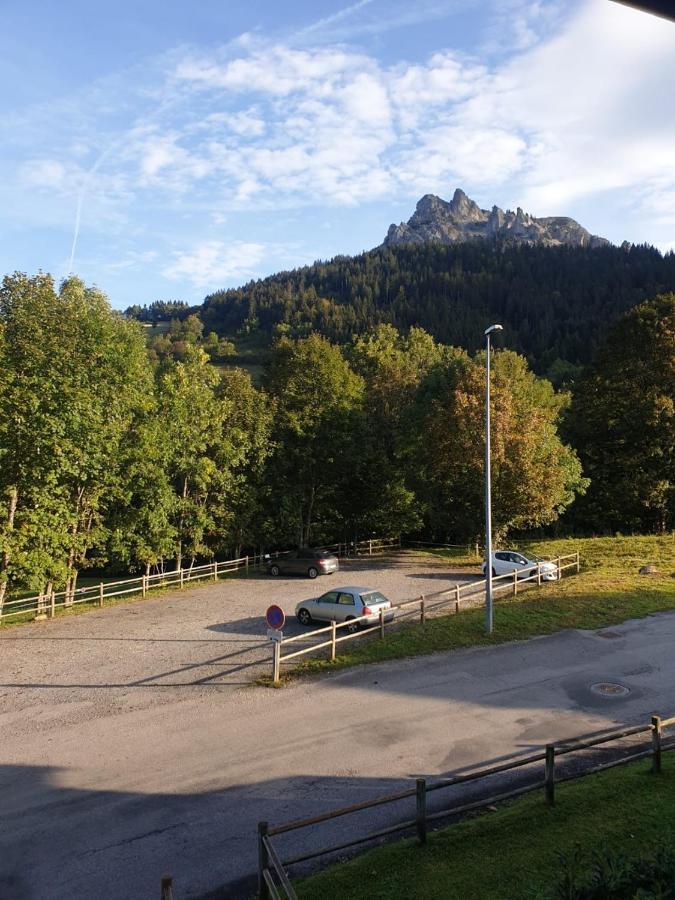 Le 67,Ski Et Randonnee,Lave Linge,Seche Linge,Parking Берне Екстериор снимка